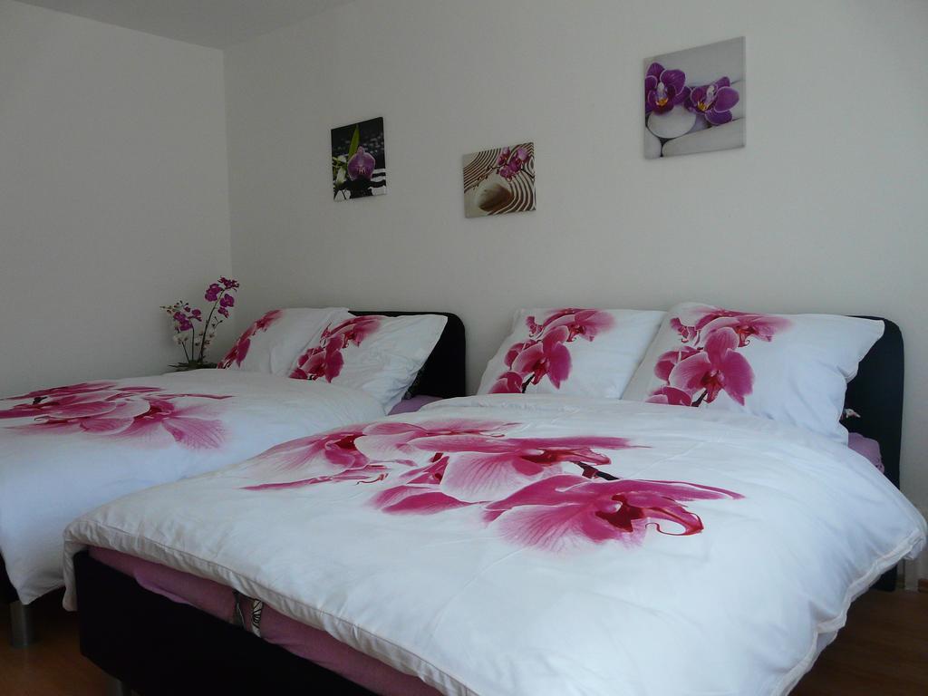 Apartment Fialka Olomouc Room photo